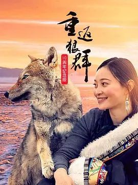 山海情